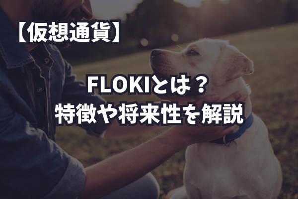 FLOKIとは特徴や将来性を解説のイメージ画像