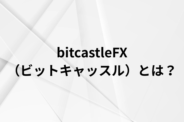 bitcastleFX（ビットキャッスル）とは？のイメージ画像