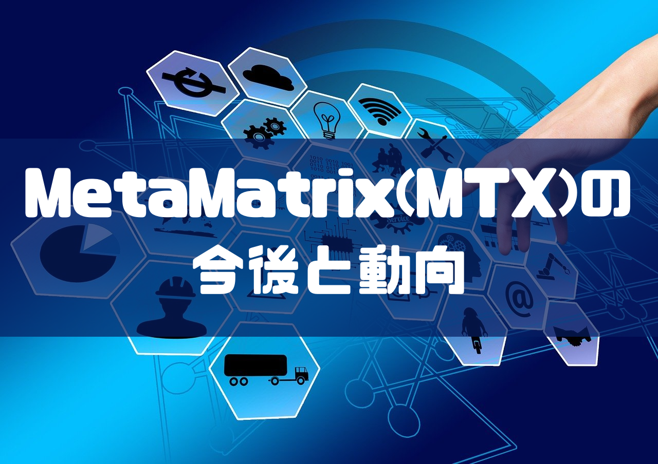 MetaMatrix(MTX)の今後と動向のイメージ画像