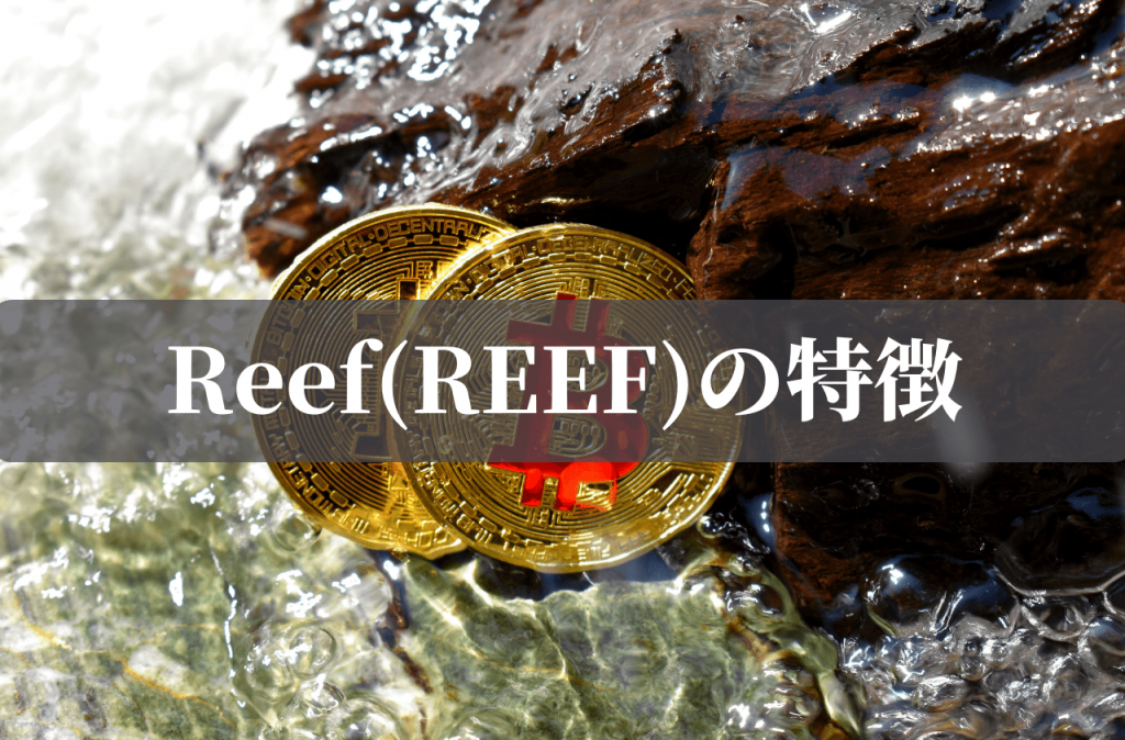 Reef(REEF)の特徴