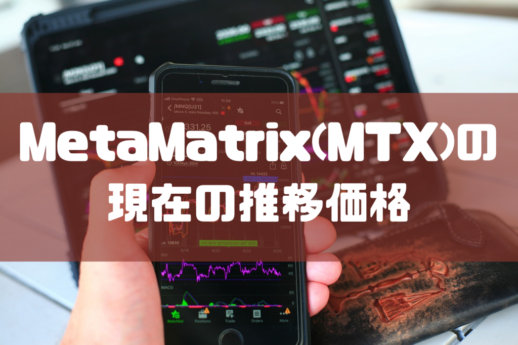 MetaMatrix (MTX)とは？将来性や特徴について解説