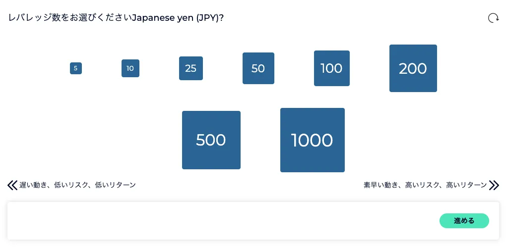 レバレッジの選択