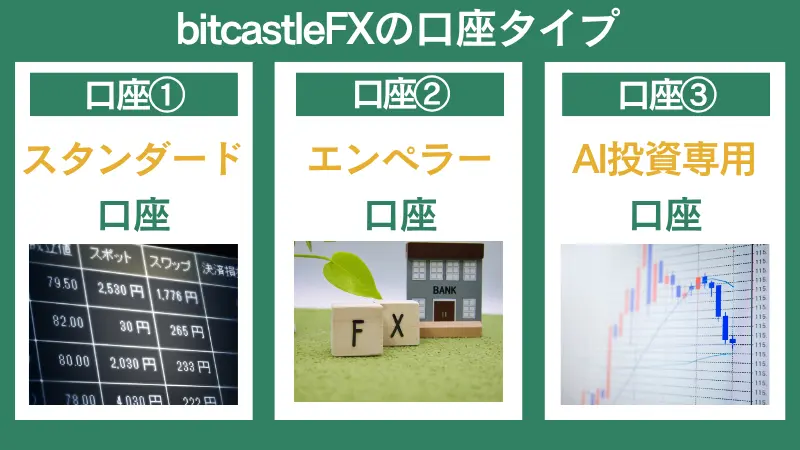 bitcastleFX(ビットキャッスルFX)の口座タイプ